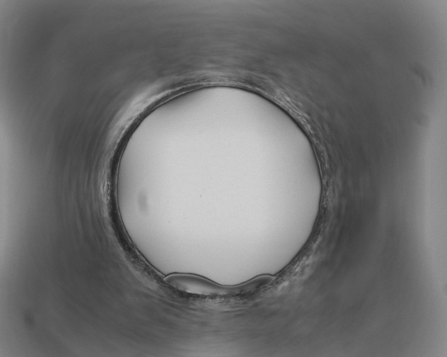 X0000113090103200909251019