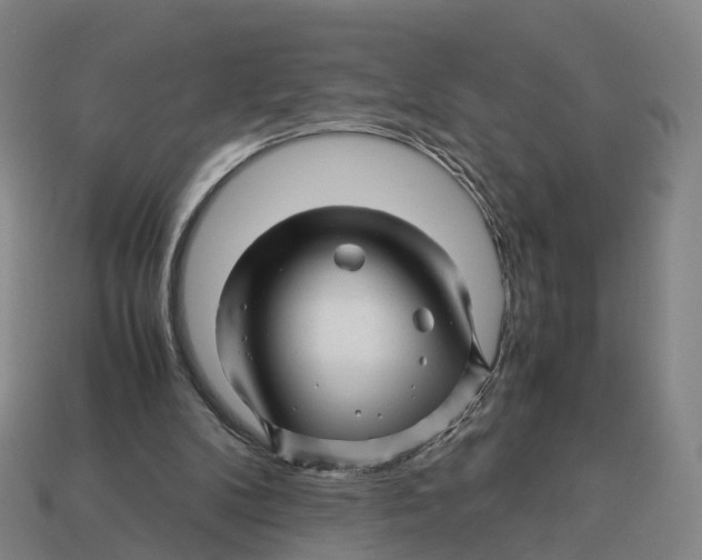 X0000113090104200909251019