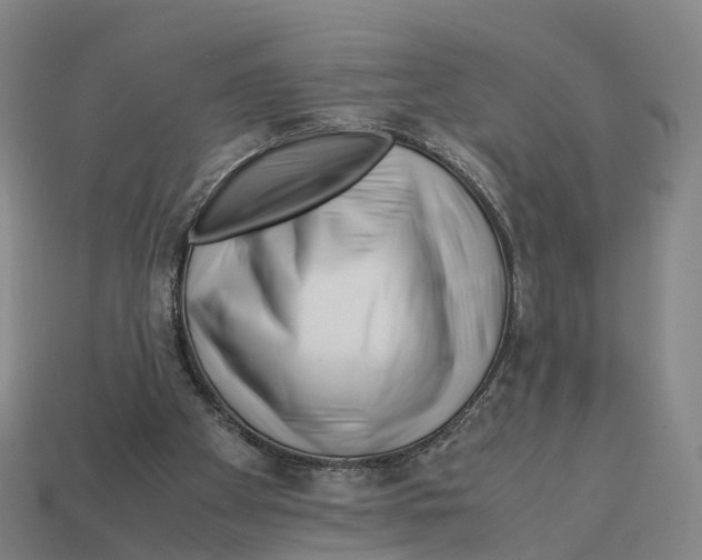 X0000113090105200909251019
