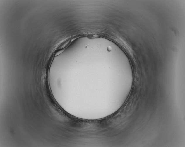 X0000113090107200909251019