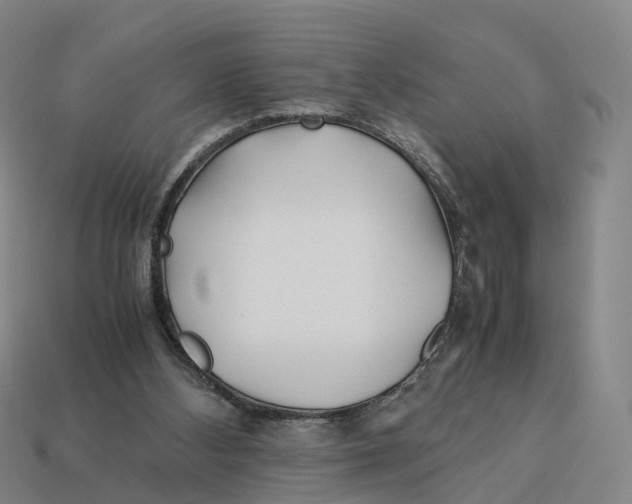 X0000113090108200909251019
