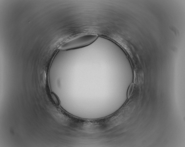 X0000113090109200909251019