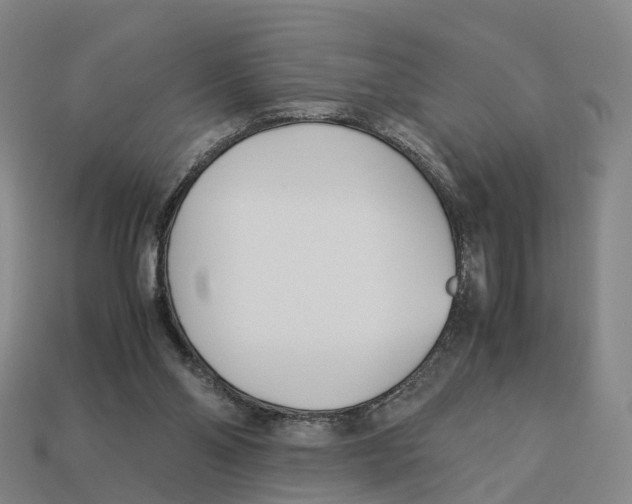 X0000113090110200909251019