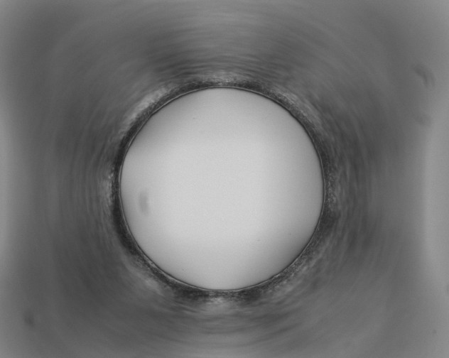 X0000113090111200909251019
