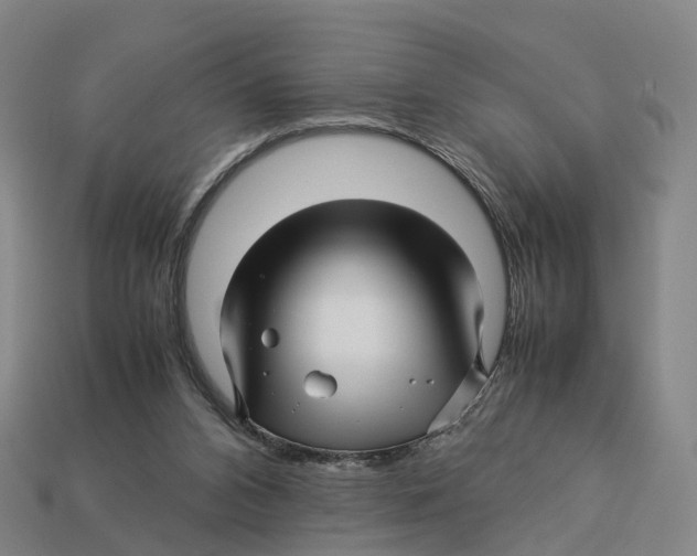 X0000113090112200909251019