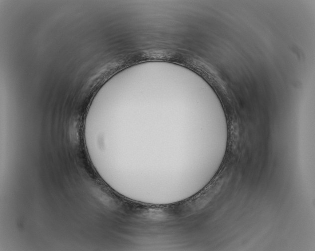 X0000113090114200909251019