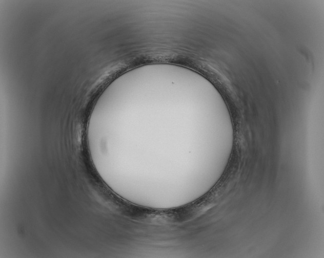 X0000113090115200909251019