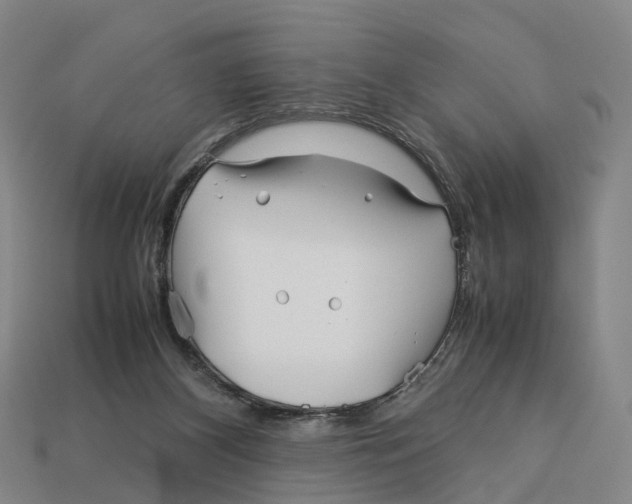 X0000113090116200909251019