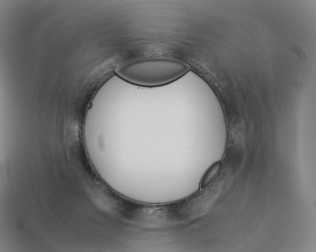 X0000113090117200909251019