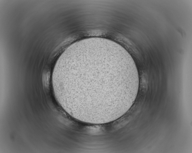 X0000113090118200909251019