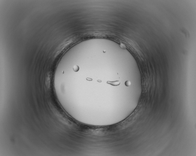 X0000113090120200909251019