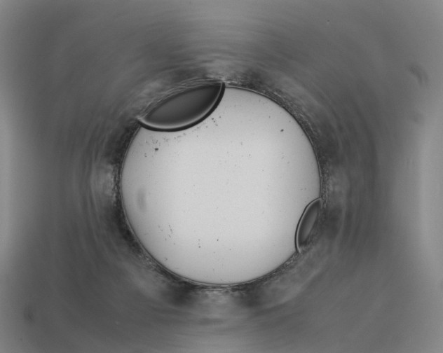 X0000113090121200909251019