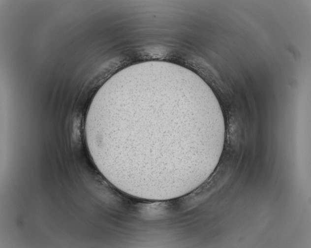 X0000113090122200909251019