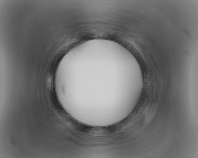X0000113090123200909251019