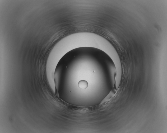 X0000113090124200909251019