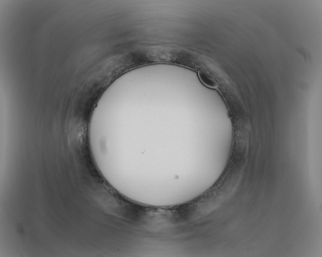 X0000113090125200909251019