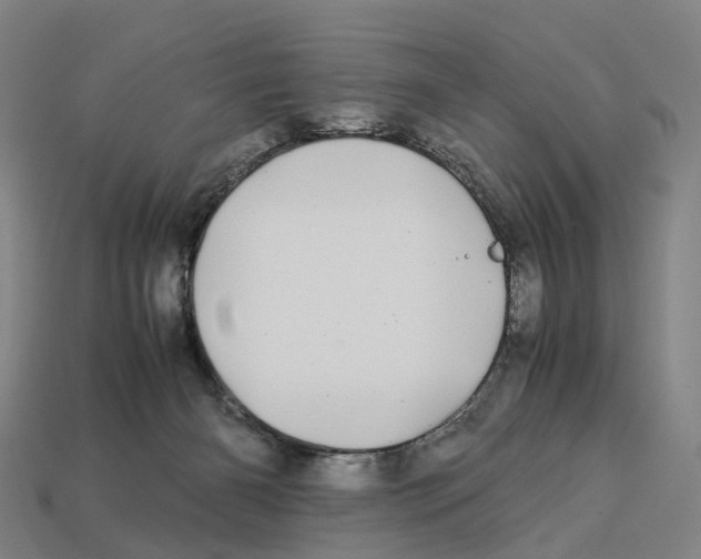 X0000113090126200909251019