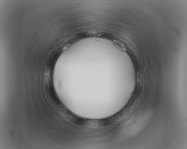 X0000113090127200909251018