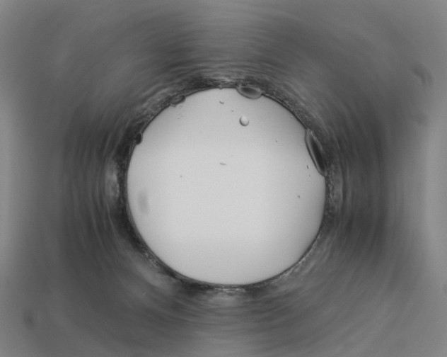 X0000113090128200909251018