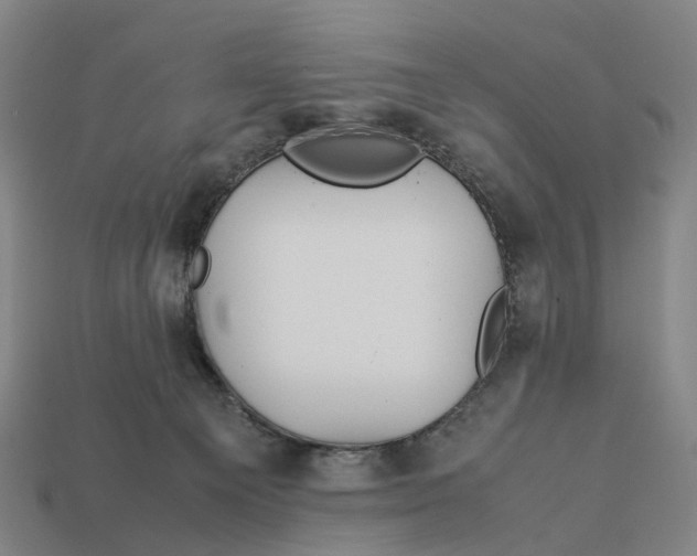X0000113090129200909251018
