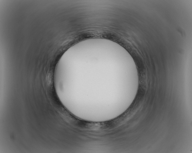 X0000113090131200909251018