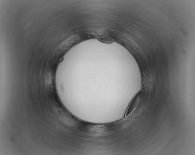 X0000113090132200909251018
