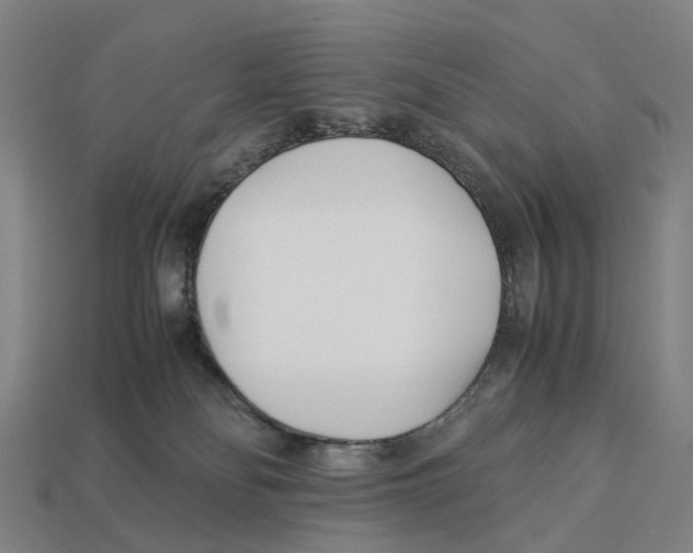 X0000113090134200909251018