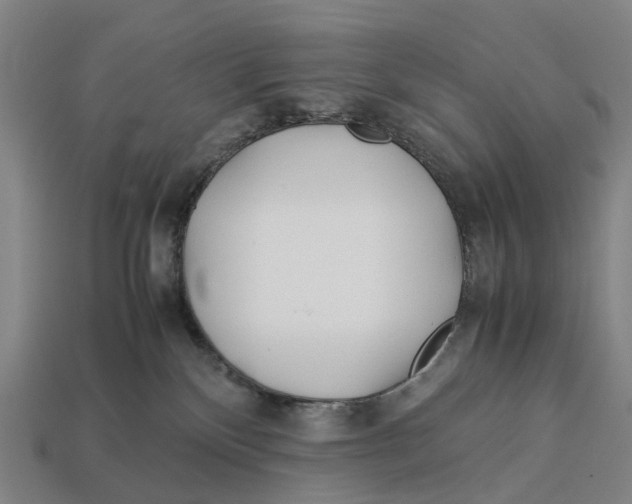 X0000113090136200909251018