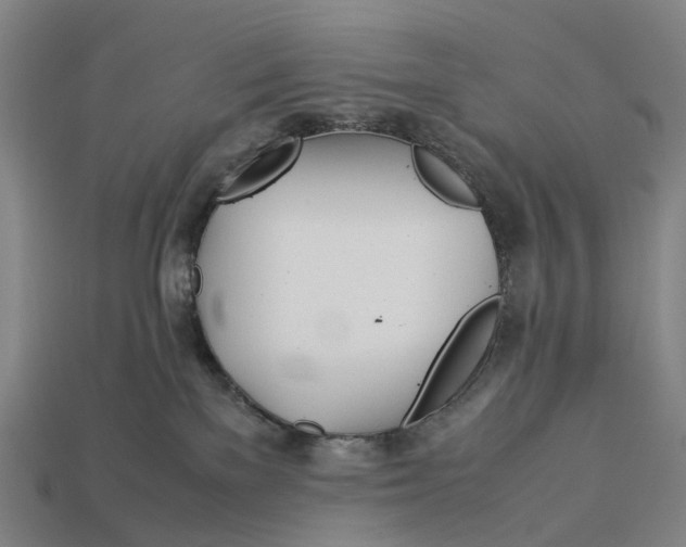 X0000113090137200909251018