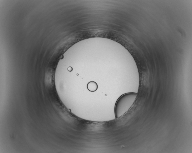 X0000113090138200909251018