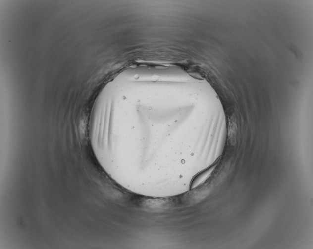 X0000113090139200909251018
