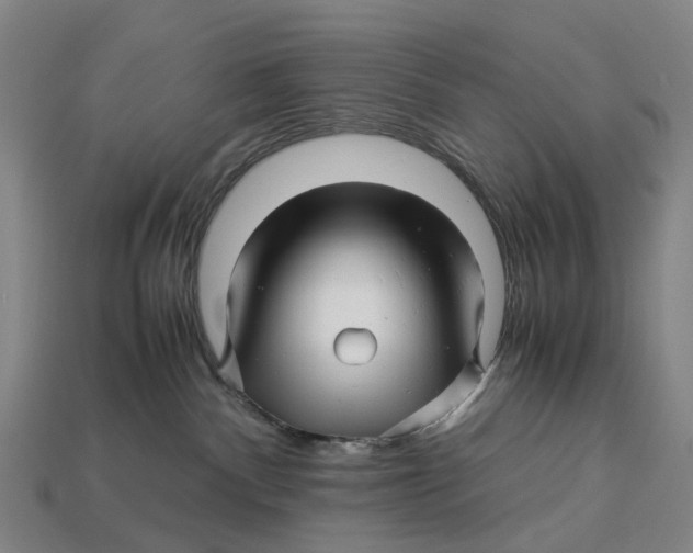 X0000113090140200909251018