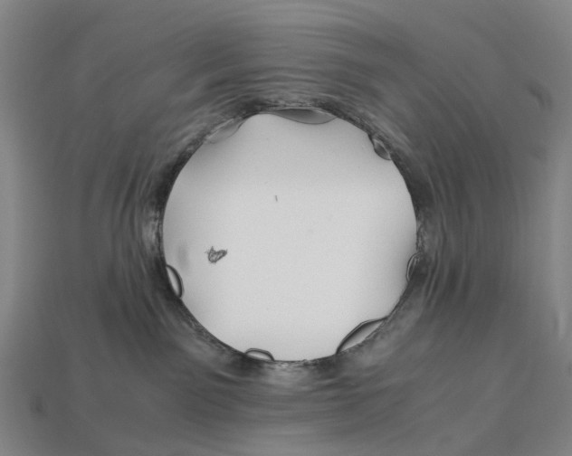 X0000113090141200909251018