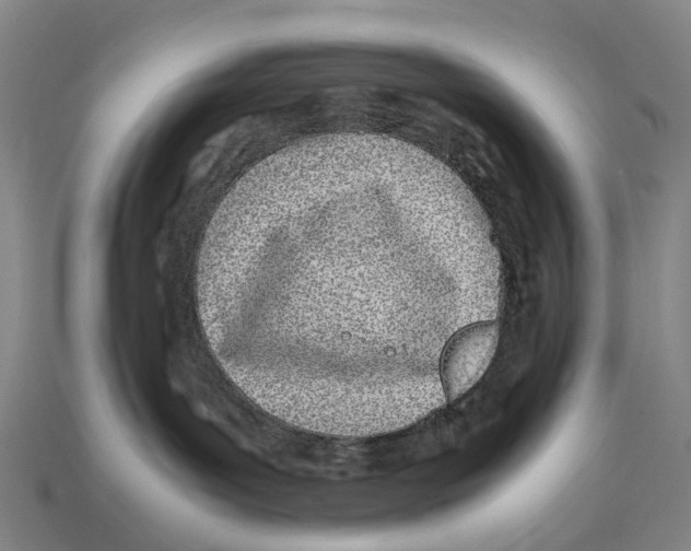X0000113090143200909251018