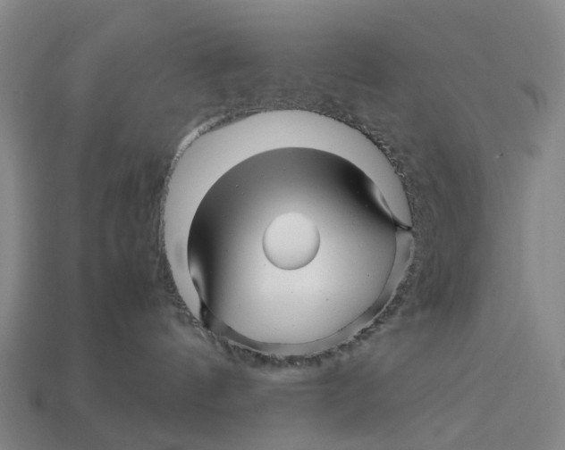 X0000113090144200909251018