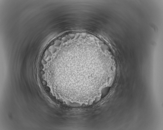 X0000113090145200909251017