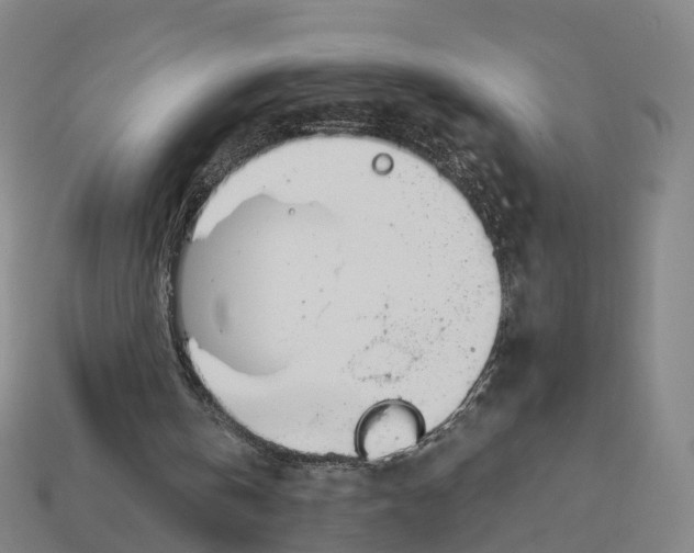 X0000113090146200909251017