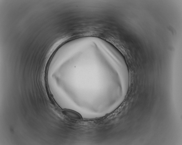 X0000113090147200909251017