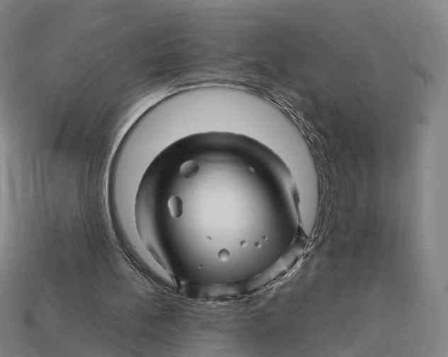 X0000113090148200909251017