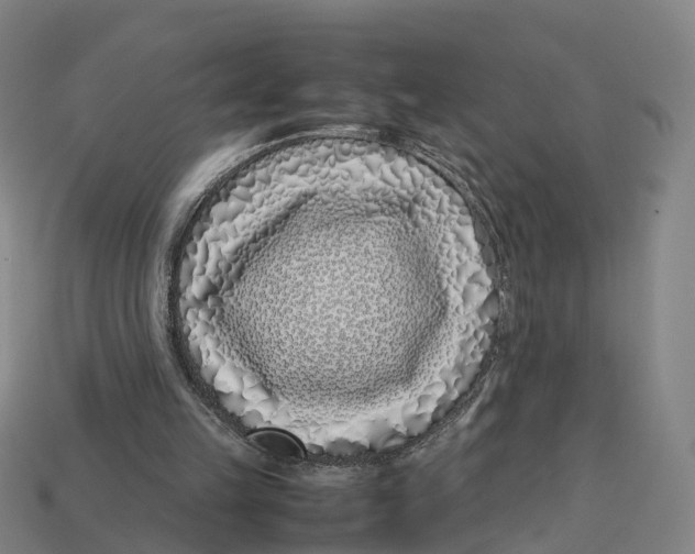 X0000113090149200909251017
