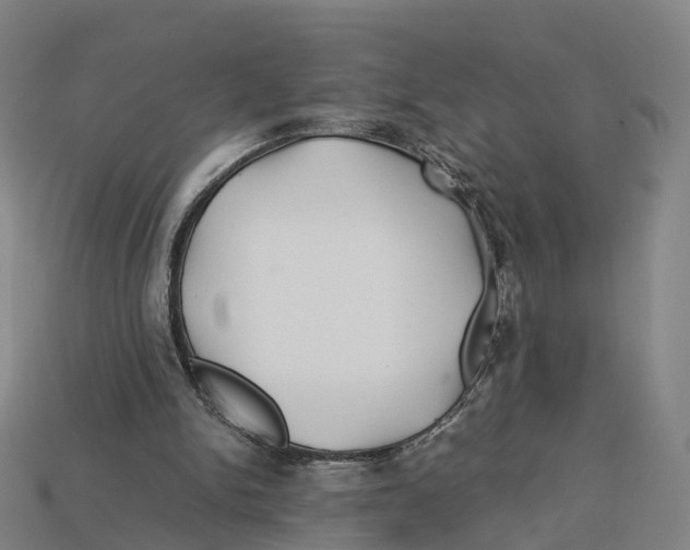 X0000113090150200909251017
