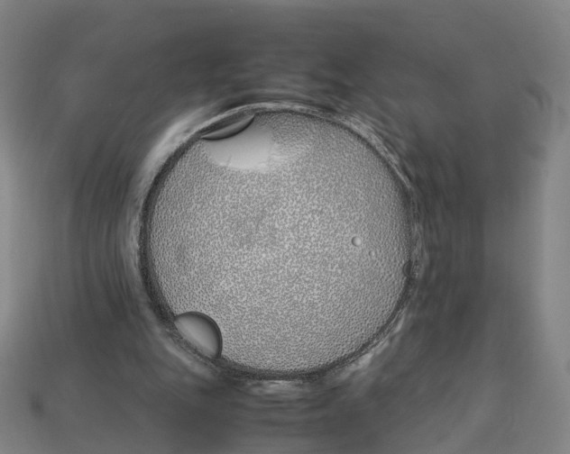 X0000113090151200909251017