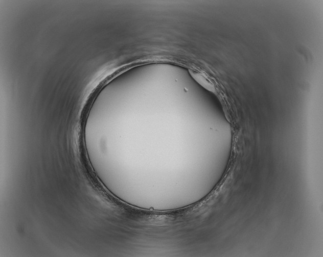 X0000113090152200909251018