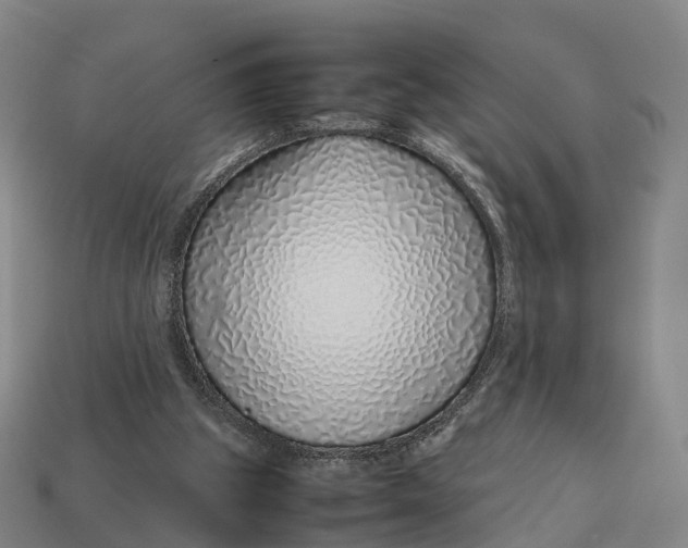 X0000113090153200909251018