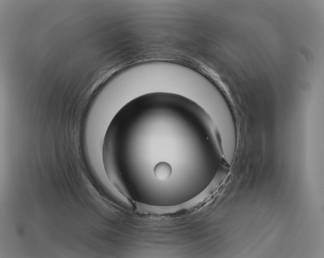 X0000113090154200909251018