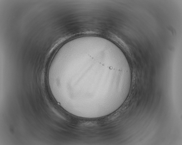 X0000113090155200909251018