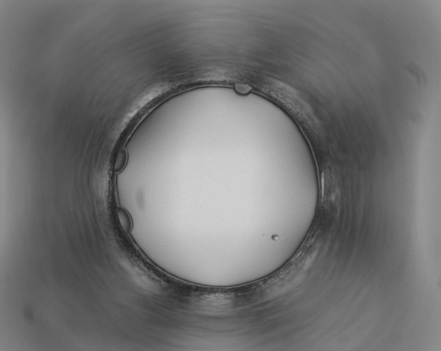 X0000113090156200909251018