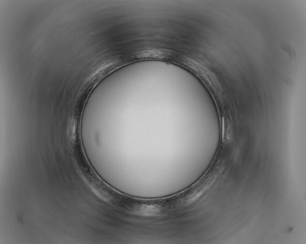 X0000113090157200909251018