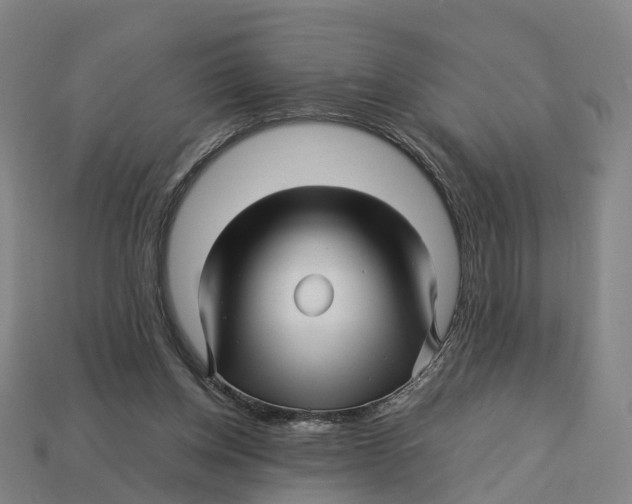 X0000113090158200909251018