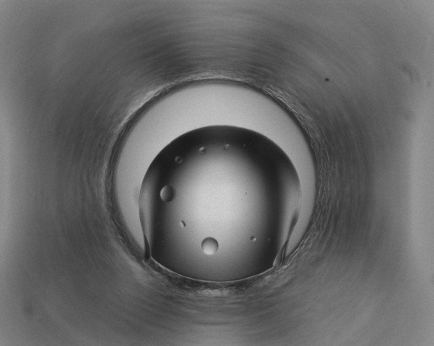 X0000113090160200909251018
